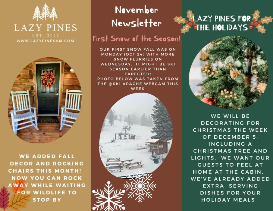 Lazy Pines Newsletter