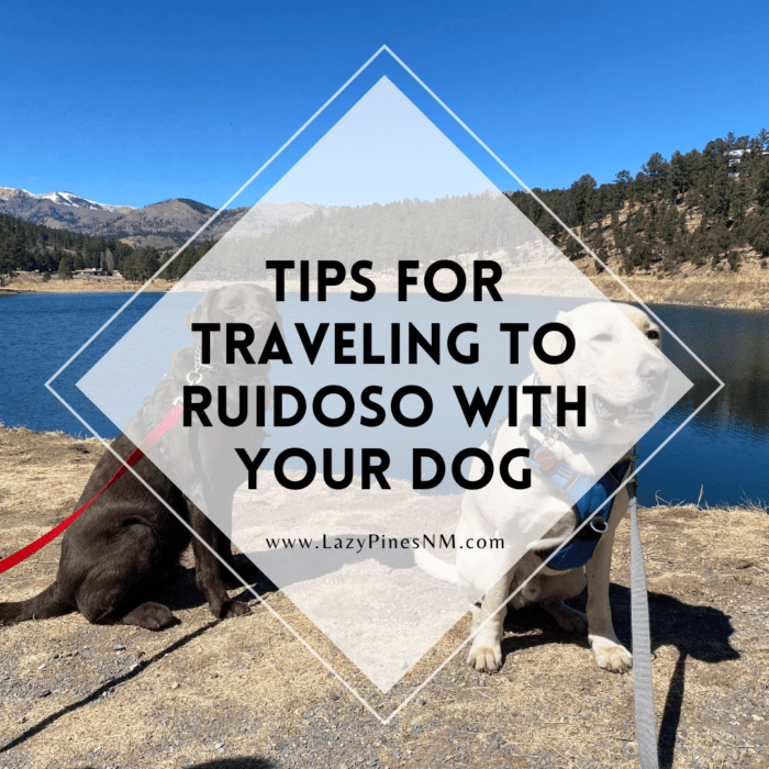 Traveling to Ruidoso with your dog