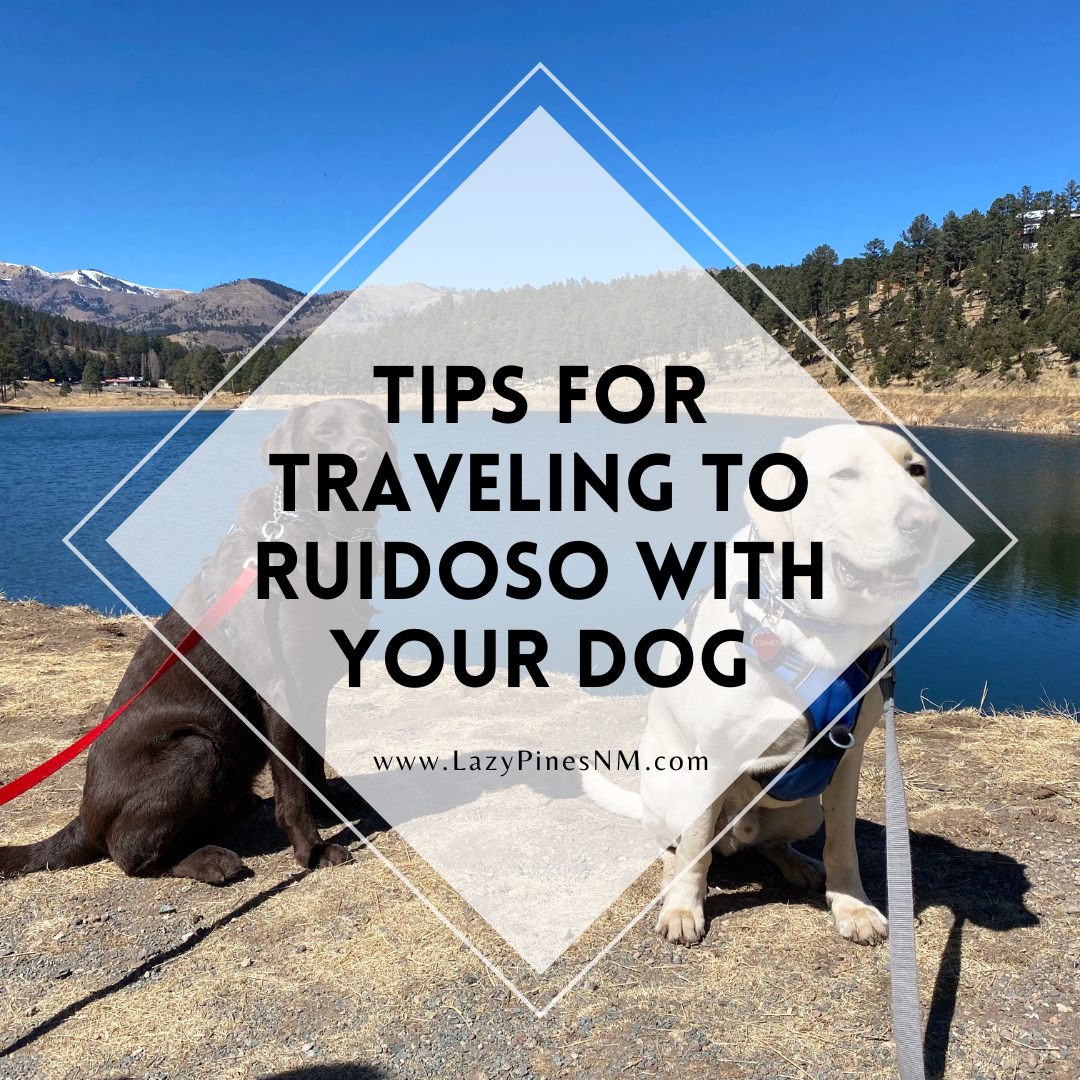 Traveling to Ruidoso with your dog