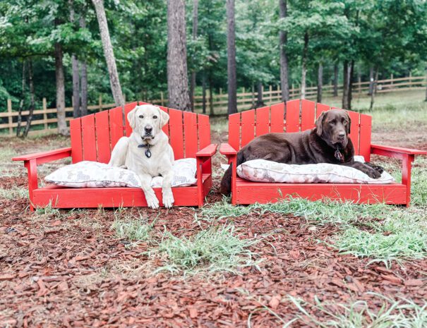 Dog-Adderndack-Chairs