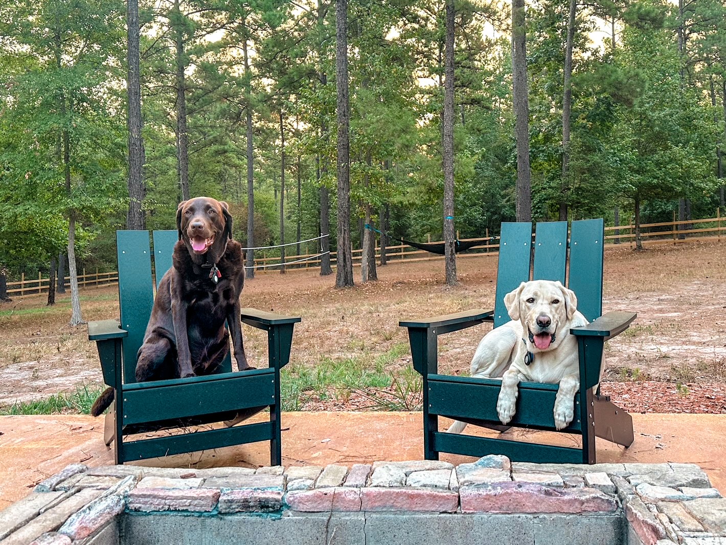 Lazy Pines Texas Dog Friendly