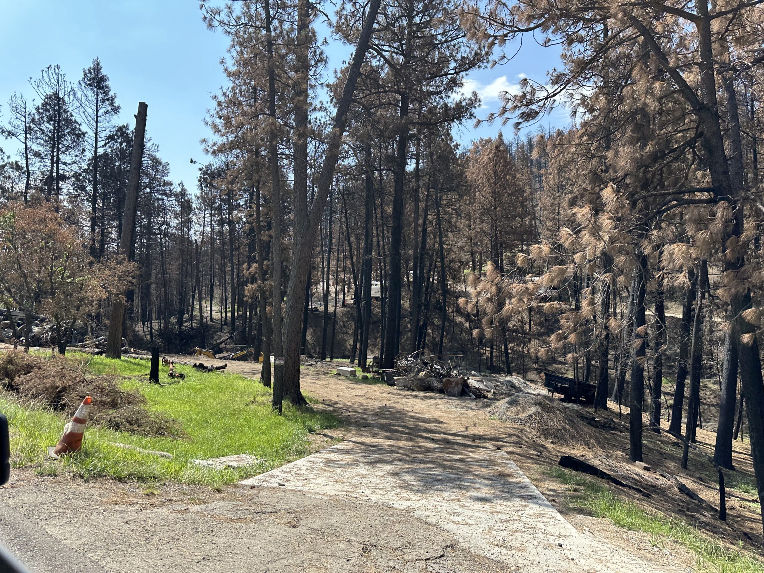 Gavilan Canyon after South Fork Fire