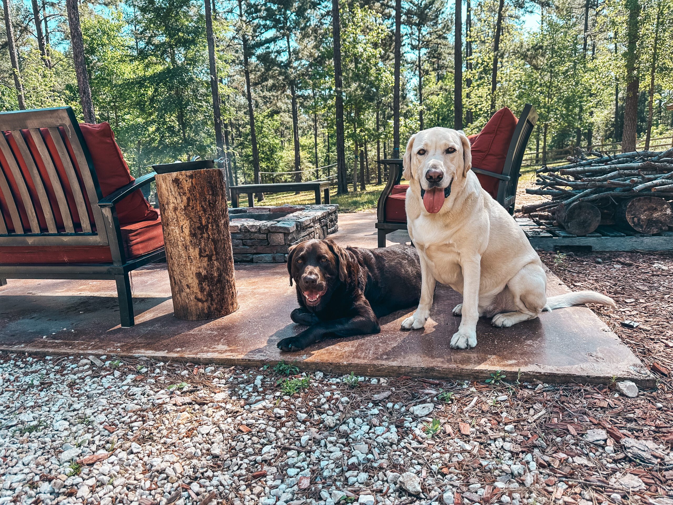 Dog Friendly Lazy Pines Cabins