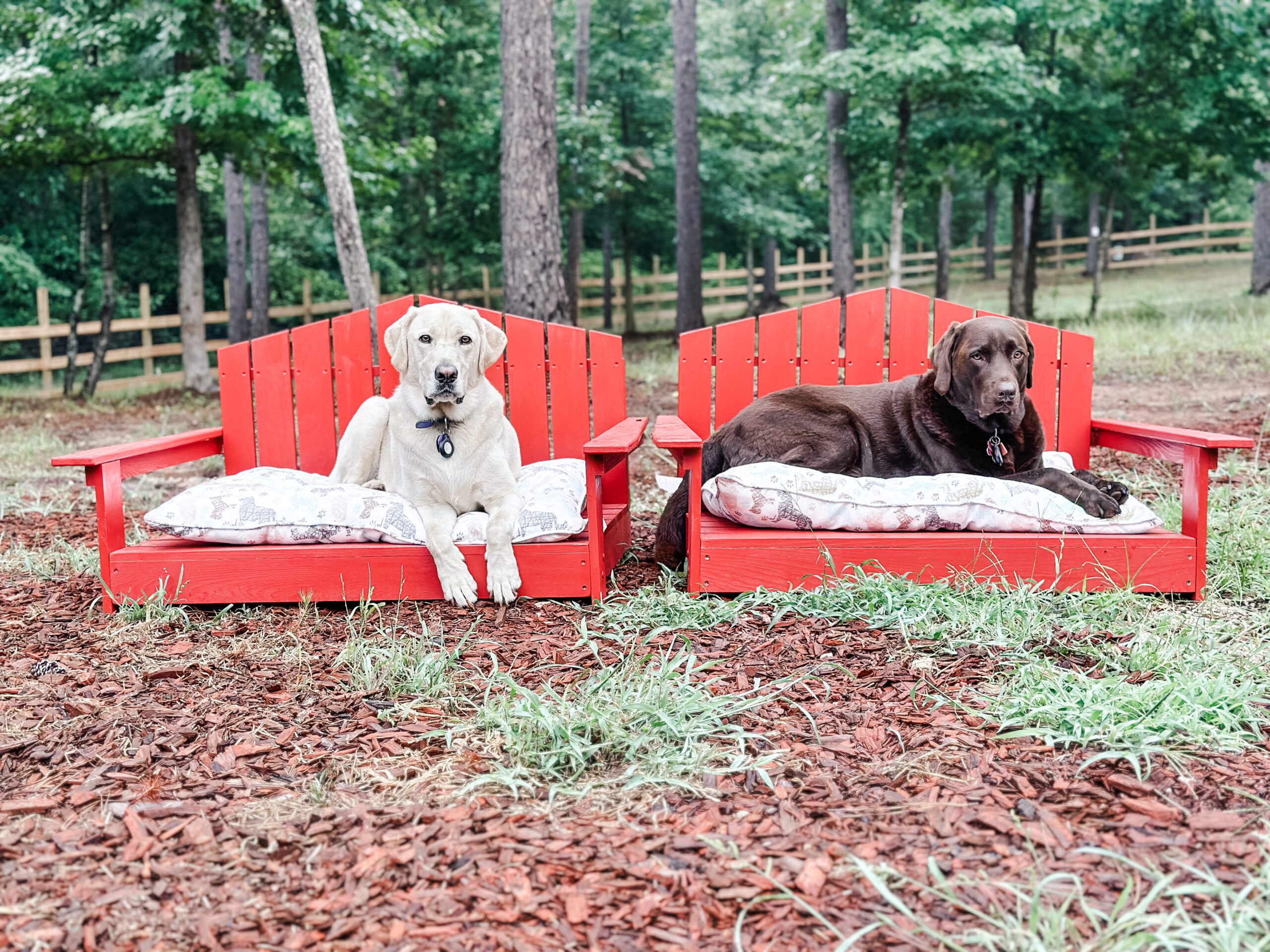 Lazy Pines: Big Dog Friendly Cabins