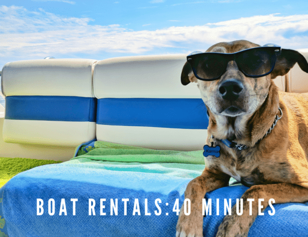 Boat Rentals